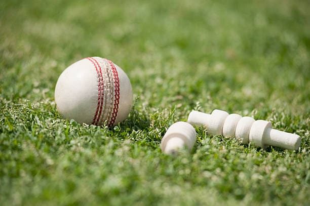Core Cricket Academy (Raleigh)